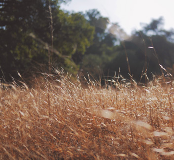 利兹联年轻球员崭露头角，展现出色表现